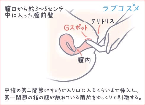 潮吹きとGスポットの密接な関係【やり方解説】女性必見！（画像つき） | 【30からの風俗アルバイト】ブログ