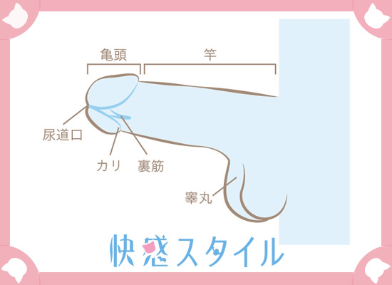 フェラチオの上手なやり方を徹底解説！気持ちいいテクニックとコツでイカせよう！ | はじ風ブログ