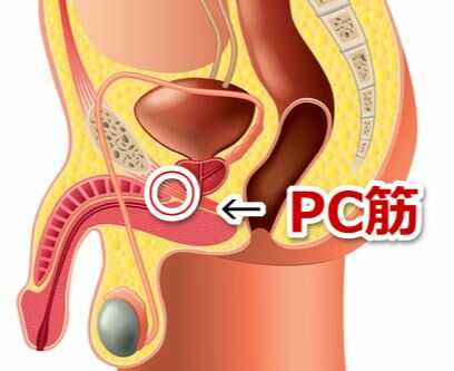 早漏の改善方法】おすすめの治療薬とトレーニングを紹介｜薬の通販オンライン