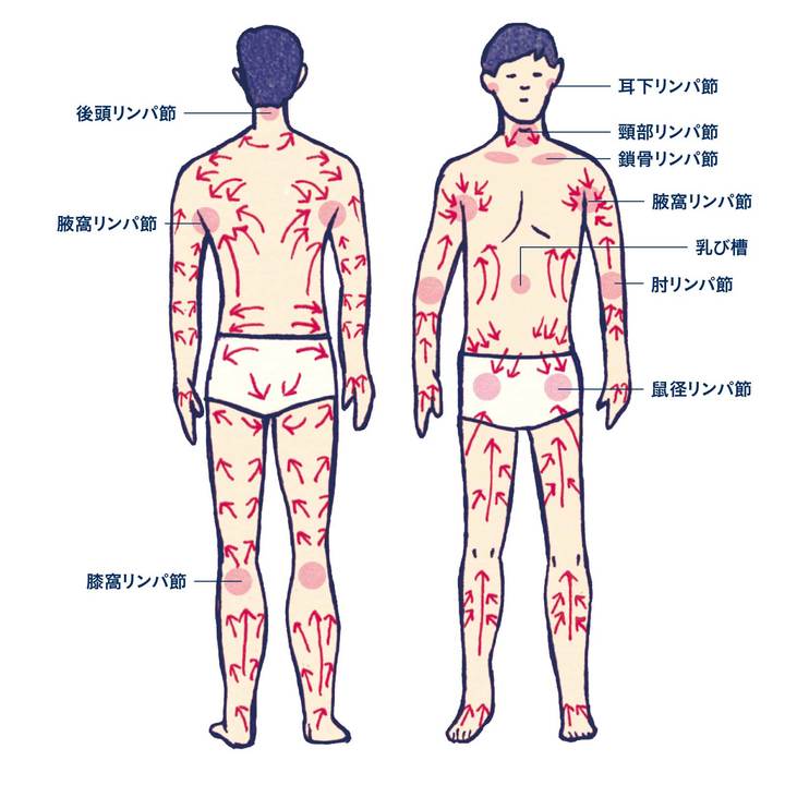 ６部位を効果的に狙う、リンパマッサージのやり方【まとめ】 | 美的.com