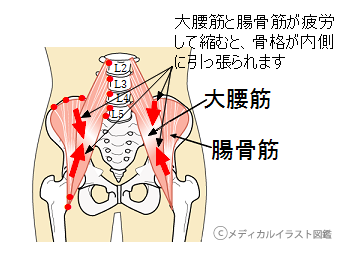 男性の鼠径部線形アイコン。細い線のイラスト。輪郭記号。ベクトル分離アウトライン描画のイラスト素材・ベクター Image 93335752