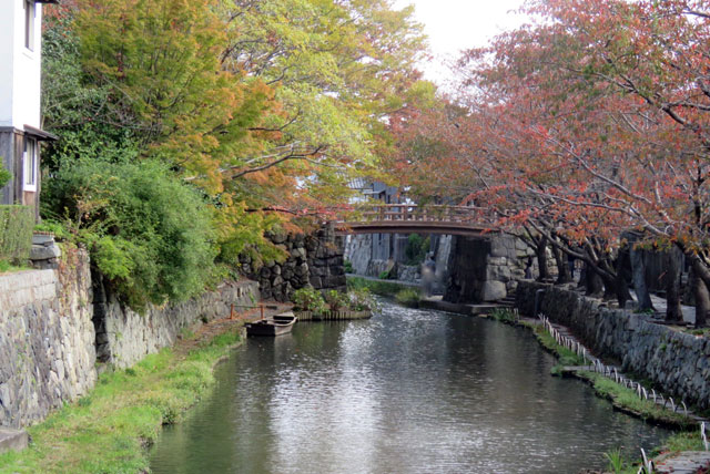 観光地・宮島にある紅葉の名所で今年もライトアップを実施 見頃は11月中旬頃から｜広島観光情報総合サイト 旅やか広島