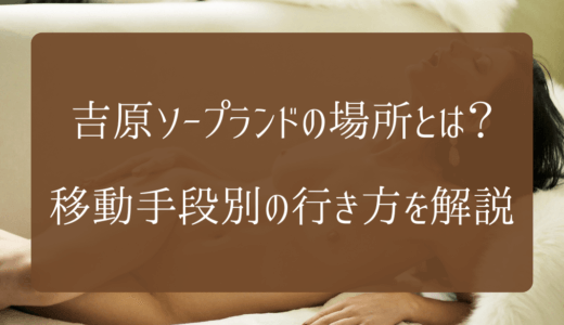 図解＜はじめてでもわかる！＞風俗のトリセツ 分冊版4 入門の心得！知っておきたい遊び方｜無料漫画（マンガ）ならコミックシーモア｜マニアックス研究会