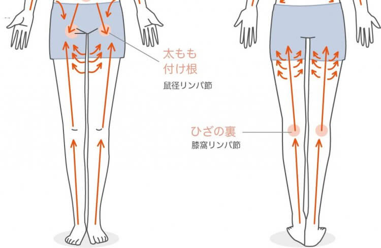 鼠径リンパの流れ」を改善するためのマッサージポイント｜安部元隆