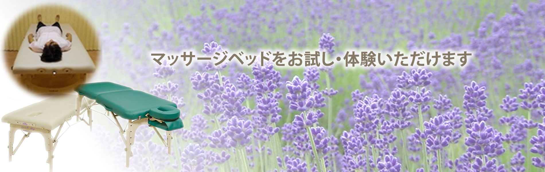 先月のコスモス畑🌸 今年はちょうど満開の時に見れて良かったです😊💕 ここのコスモスはめちゃくちゃ大きくてイキイキしてて迫力がありました✨🌸