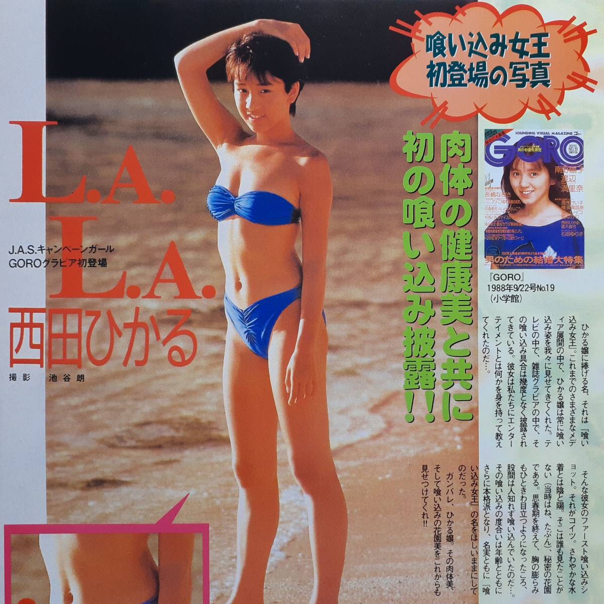 西田ひかる グラビア水着画像 65枚 | ちょい懐女画像集