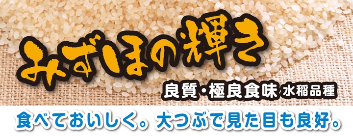 新潟米のマイナー晩生品種「みずほの輝き」徹底調査！炊きあがりの美しさはコシヒカリを超える！？ | 新潟永住計画