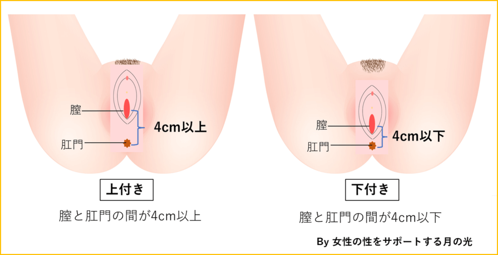 膣の「上つき・下つき」の違いと判断方法。「上つき・下つき」それぞれの女性が感じるオススメの体位 | 日刊SODオンライン