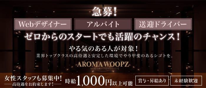 宮城｜時給1,000円～1,500円の風俗男性求人・バイト【メンズバニラ】