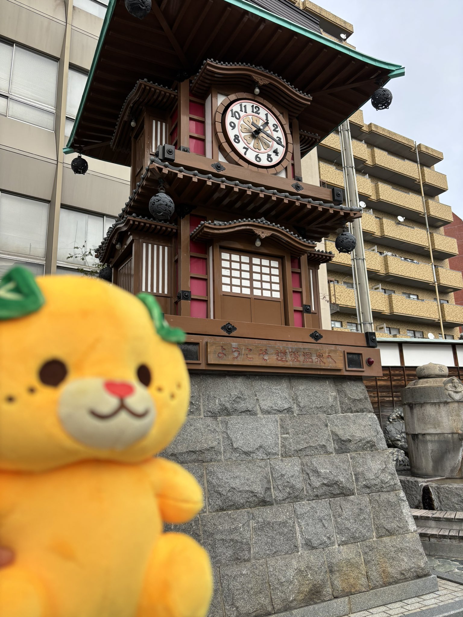 医療法人社団 Happiness tree 蒲田ハピネス矯正歯科の歯科衛生士求人|東京都大田区|歯科衛生士専門求人クオキャリア