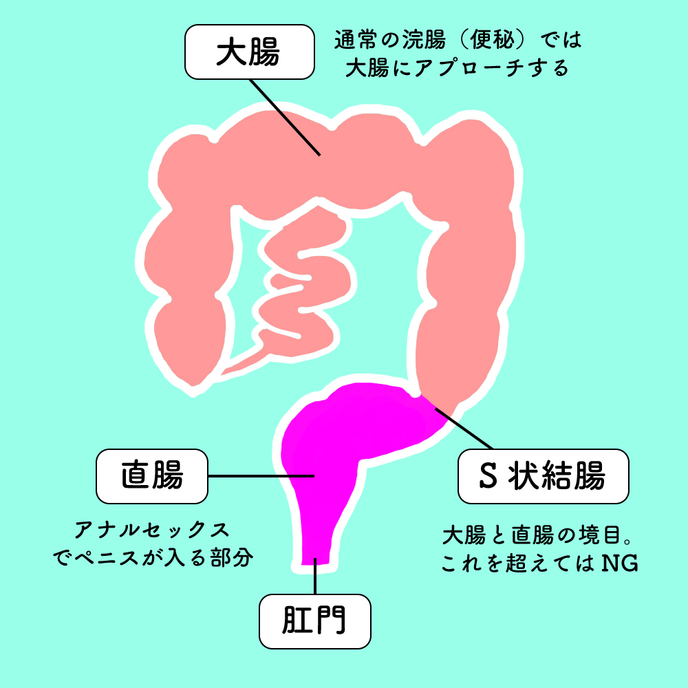 気持ちいいアナルセックスのやり方とは？女性の体験談（感想）や開発のコツ等も紹介【快感スタイル】