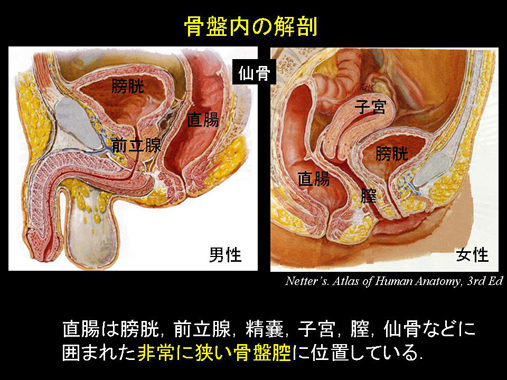 おマ○コより断然気持ちいいアナル開発 ～ | アダルト動画 DUGA