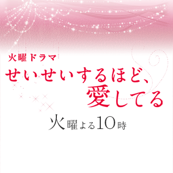 中古「もうひとつのGT選手権 バスケットボール編」 DVD レースクイーン