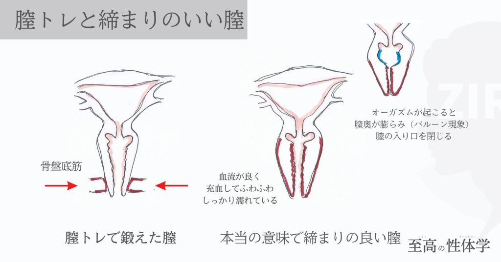 女がイクとき締まるのは本当！？ | 【きもイク】気持ちよくイクカラダ