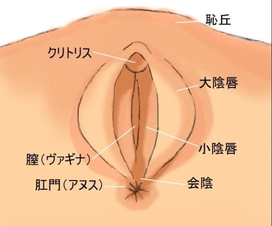 上手くなりたい人必見！手マンの極意と練習のやり方を解説｜Cheeek [チーク]