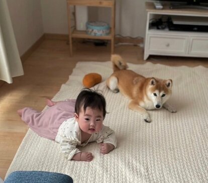 小さく生まれた赤ちゃんのママの気持ちに寄り添った、リトルベビーハンドブックって？｜たまひよ