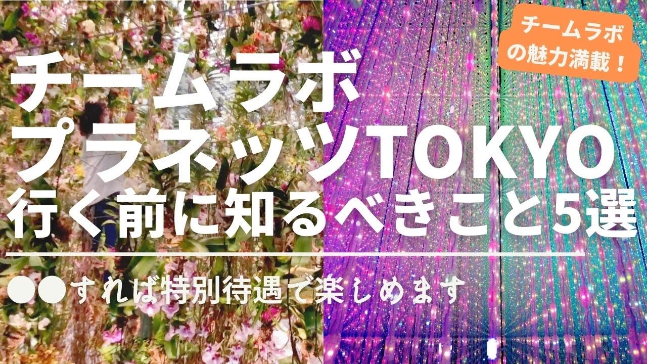 チームラボプラネッツTOKYO | 柏田ユウリ