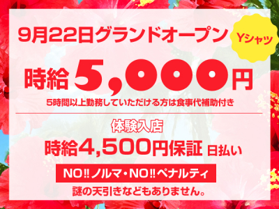 赤羽のセクキャバ・おっパブ求人・体入情報｜[体入バニラ]で高収入バイト