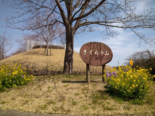 成田さくらの山で飛行機を楽しもう！