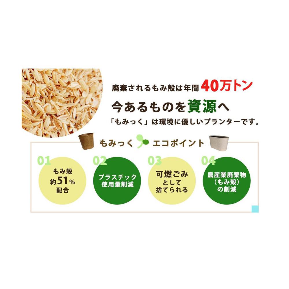 コンビニスイーツと牛乳を入れるだけ、もみもみして作る「もみっとシェイクン」 - 価格.com