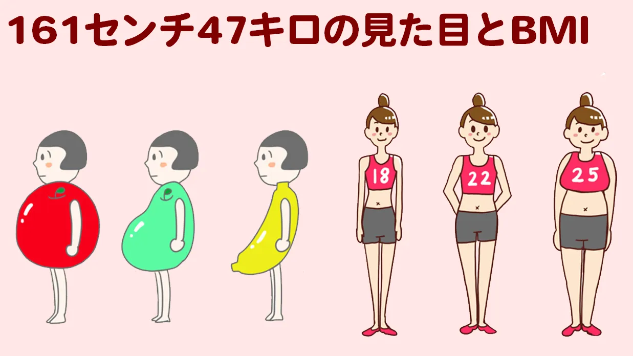 161センチ48キロです。 - この身長体重の割には太って見えると言われた