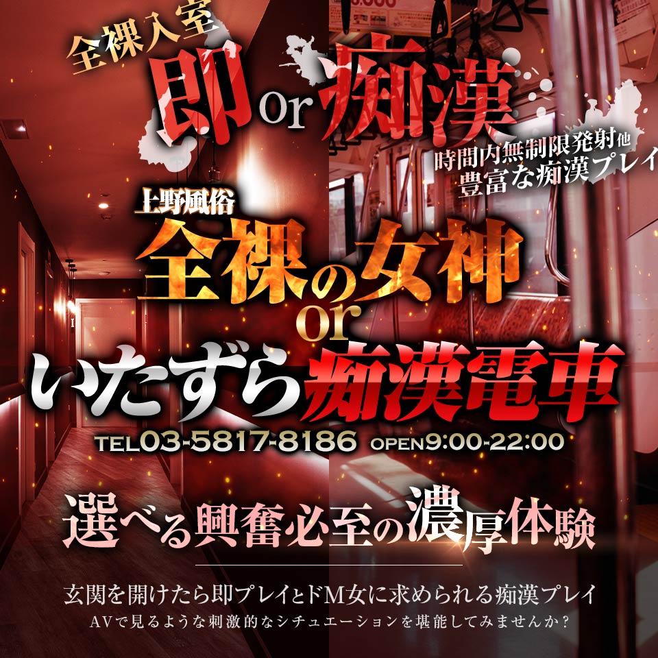 おっぱい痴漢】悪戯後は脱がして電車内に放置。遂にやってしまいました。【巨乳/食い込み】 - ラッキーボーイ向井