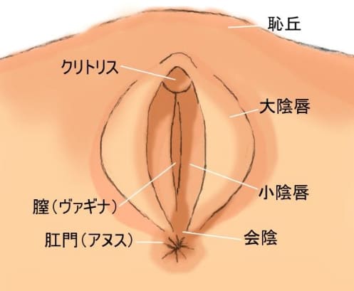 手マンオナニーのやり方｜初めてでも気持ちいい女性のセルフプレジャー入門