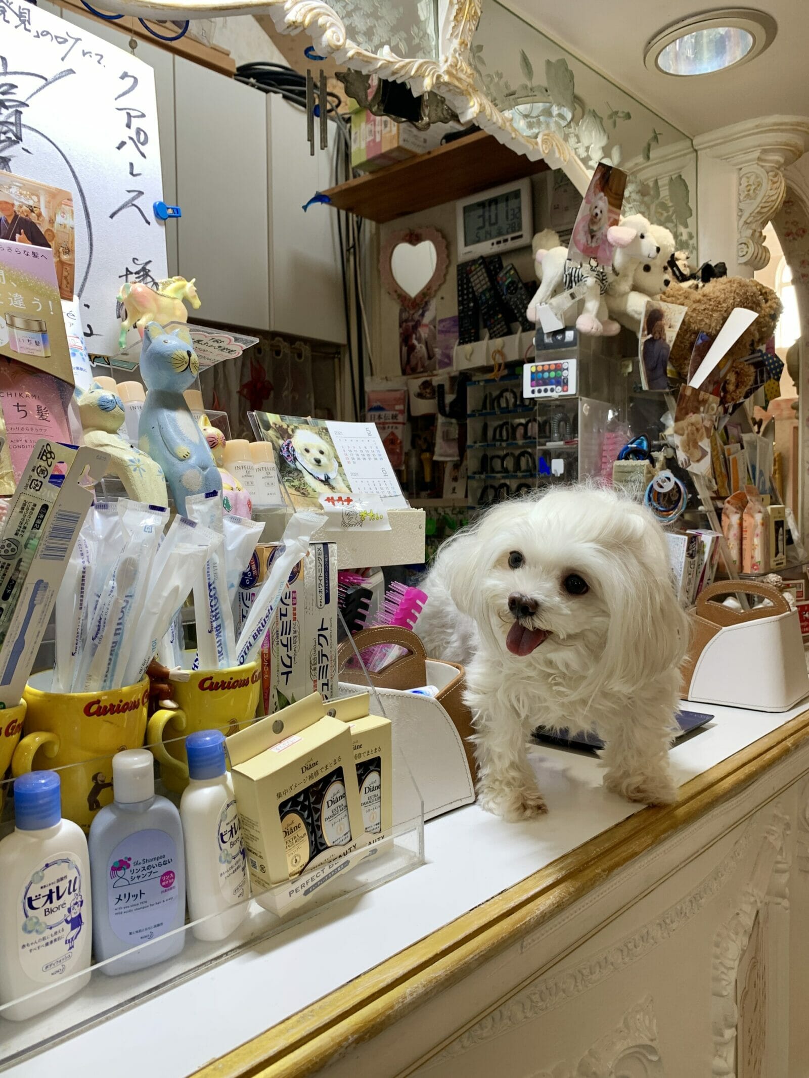 クアパレス（千葉）地下水の水風呂 大人450円～ | 日本47の水風呂