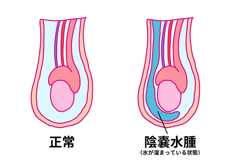 龍が如く7外伝】金玉の入手場所一覧｜全7箇所を分かりやすく解説【名を消した男】 - アルテマ