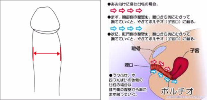 ペニスの大きさに悩む男性必見！ペニスを大きくする治療方法について徹底解説！ | mens-beauty-life