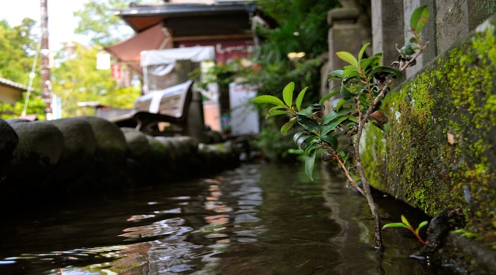 パークアベニュー国分寺 詳細・予約ページ | ホテル予約なら「エアトリホテル」