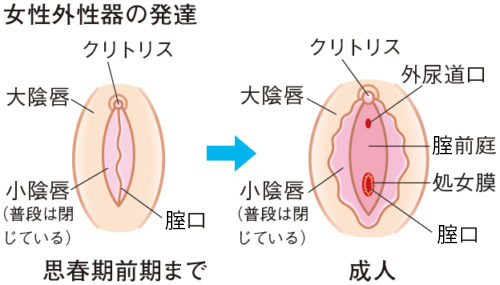 Amazon.co.jp: 【視聴期限なし】オトコノコのオナニー ADサトシ君23歳|オンラインコード版 :