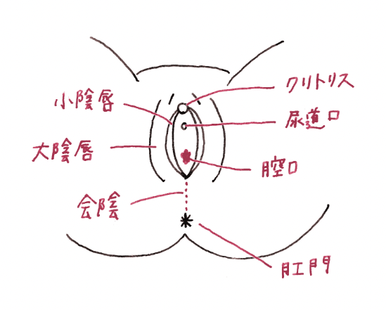 副皮 クリトリス包茎 | 美容外科はベリンダクリニック【新宿院・岡山院】