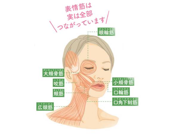 禁煙外来｜一般内科・循環器内科の赤坂一ツ木通りクリニック