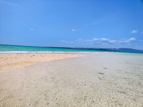 連載／島の恵み、島の味 その20 豚肉 母から娘へ繋ぐ味