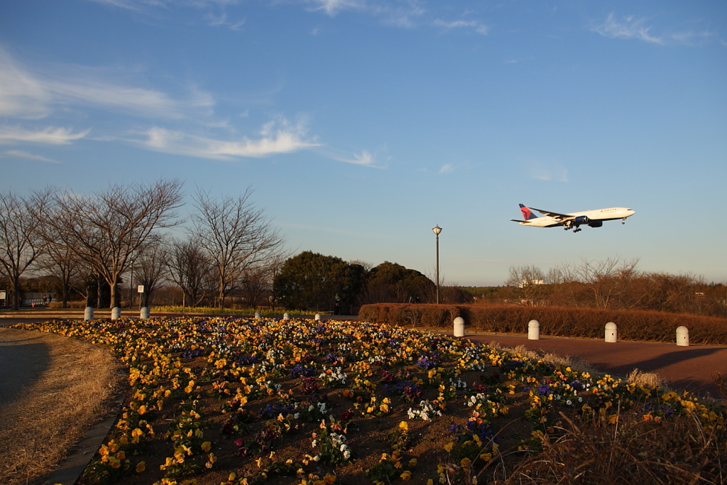 ジェット機と成田さくらの山公園」 | ウェビックコミュニティ