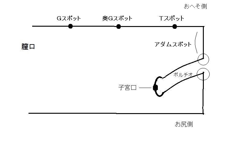 膣肉生陰唇 純 | アダルトグッズ通販・大人のおもちゃなら【M-ZAKKA エムザッカ】