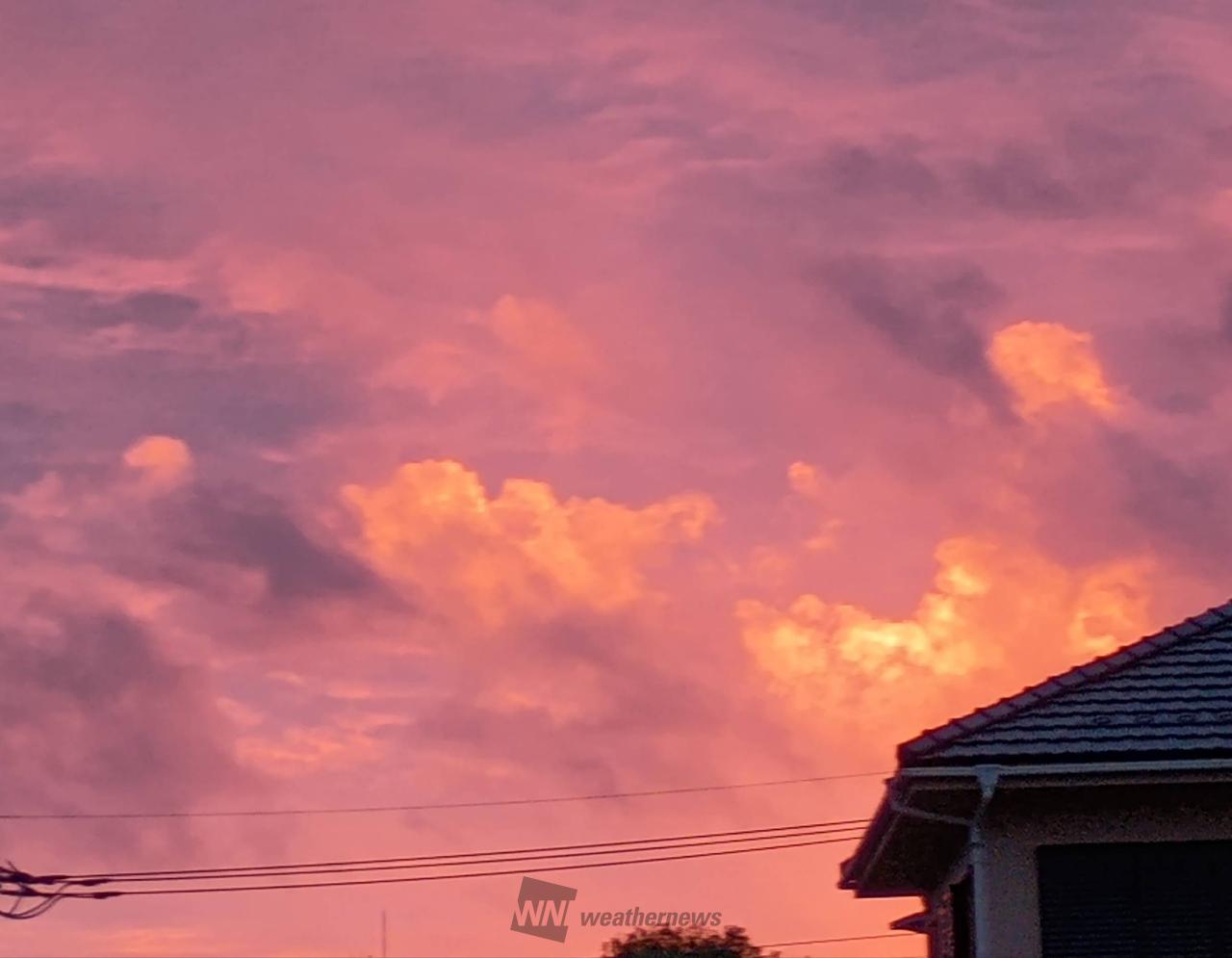 ピンクパープルな朝の雲 注目の空の写真 ウェザーニュース