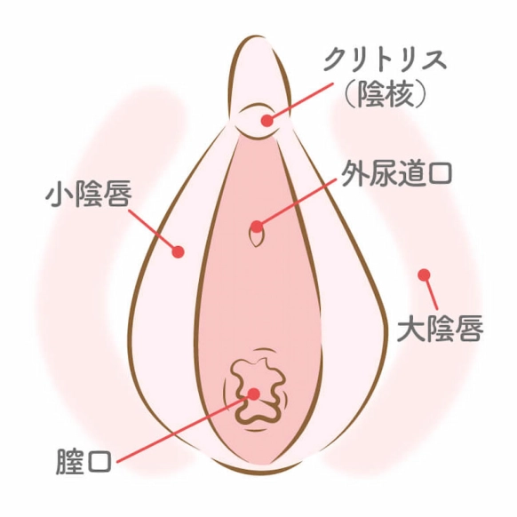 男性必見！正しいまんこの触り方・愛撫の方法とは？現役風俗嬢が徹底解説！