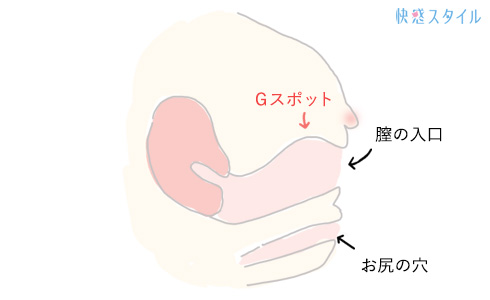 男が喜ぶ膝立ち後背位のやり方「バックの時はこうして欲しい」 | 【きもイク】気持ちよくイクカラダ