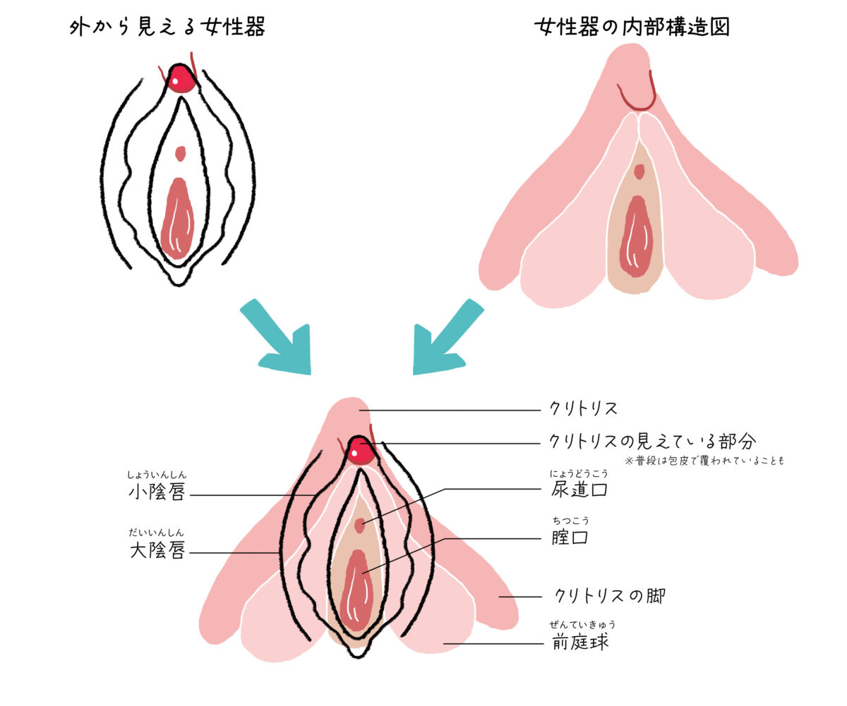 中でイク方法、教えてください! - ソク読み