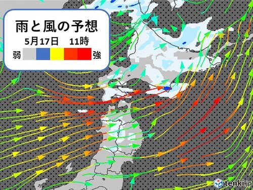 7日は低気圧の影響で風強く…さらに大気も非常に不安定 下越と佐渡では強風に注意・警戒を 新潟 | 新潟のニュース・天気｜BSN