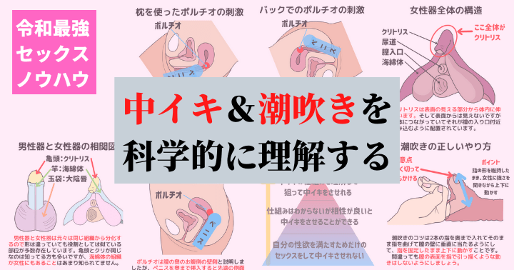 図解】セックスの体位「バック」で女性をイかせる理想の姿勢と腰使いと注意点 – せふらいず