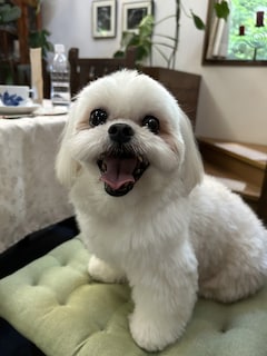 気を遣って食べる豪華なお寿司より、一人で食べるスーパーのお寿司の方が美味しい。大久保佳代子さん「食とエロス」の軌跡 | LEE