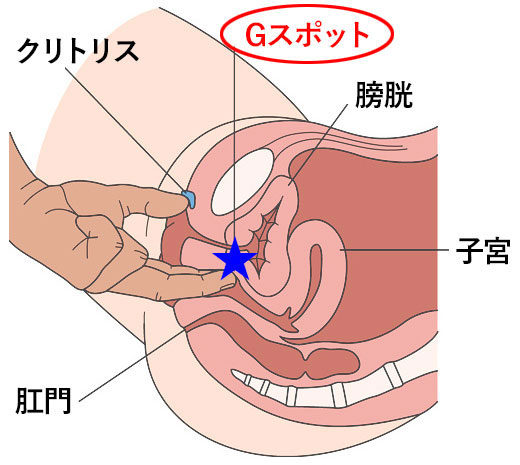 手マンの基本のき -手マン やり方|