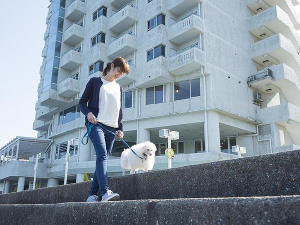 クチコミ・評判 - 鳥羽わんわんパラダイスホテル - 宿泊予約は[一休.com]