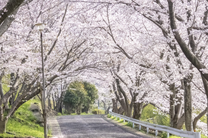 松島新地で遊んできました(2月10日訪問) | 新地くん