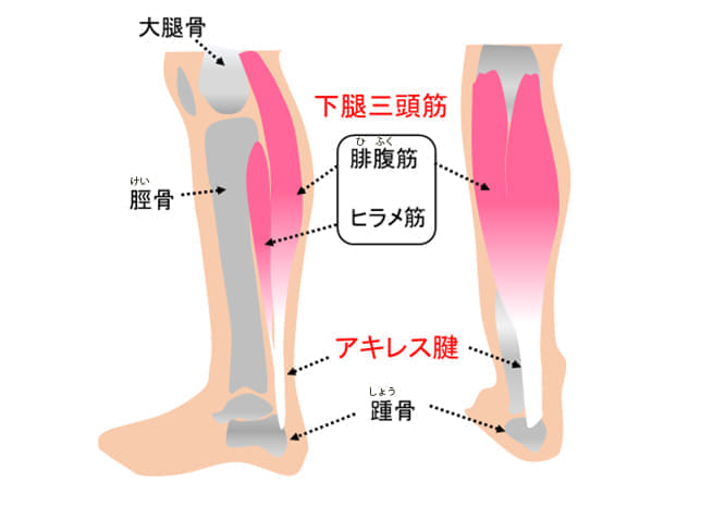 鍼灸師が教える】ひどい肩こりもこれで解消！！｜東京 渋谷 整体・鍼灸・不妊・頭痛・肩こり 【渋谷駅より徒歩5分】 -