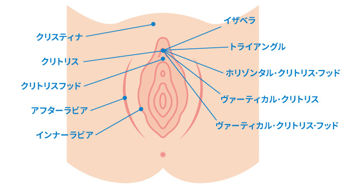 女性が「感じる」メカニズム Gスポットは気持ち良い「から」現れる快感スポット｜感じるところ｜森田敦子 -