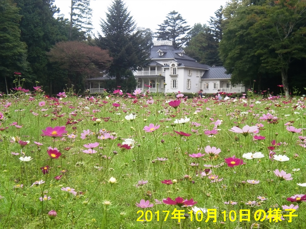 大田原市】ついに開店！「ディスカウントドラッグコスモス大田原住吉店」が6月17日にオープン。（なすがすきー） - エキスパート - Yahoo!ニュース